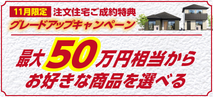 11月成約キャンペーン